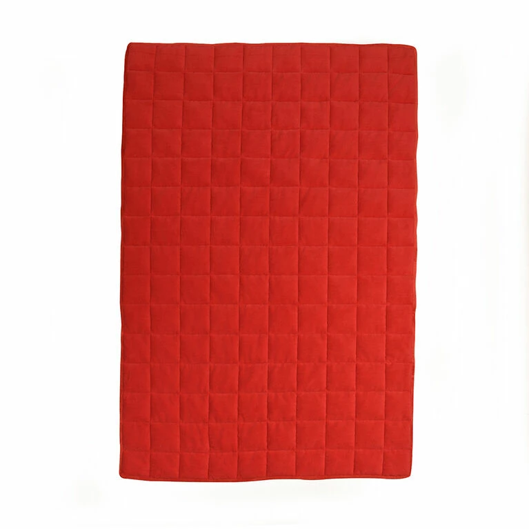 Coupon π― Nemcor NBA Toronto Raptors 6lb Weighted Blanket π - Image 2