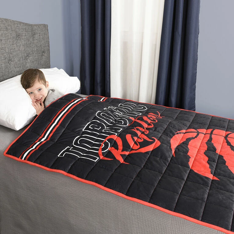 Coupon π― Nemcor NBA Toronto Raptors 6lb Weighted Blanket π - Image 6